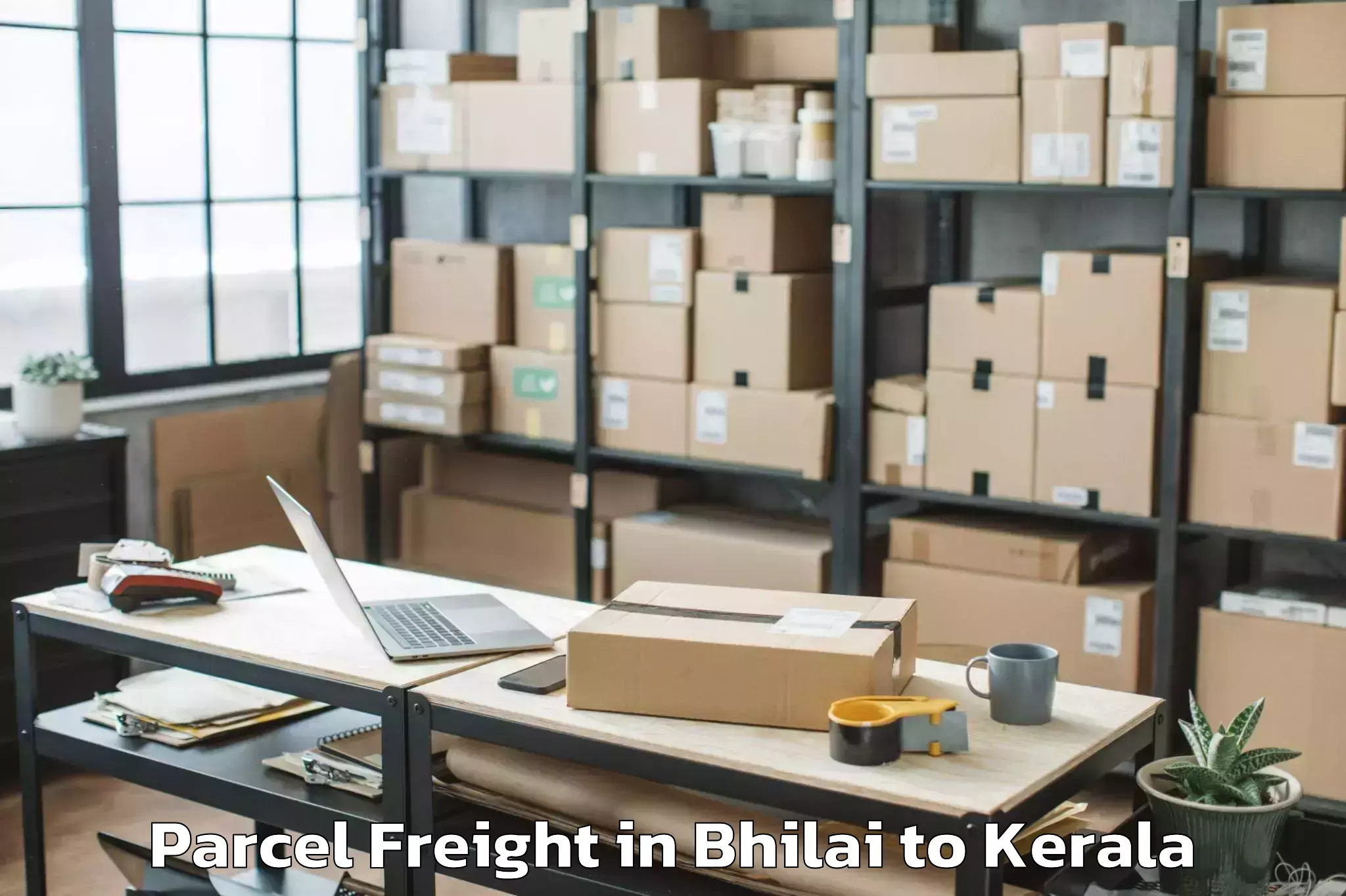 Book Your Bhilai to Thachanattukara Parcel Freight Today